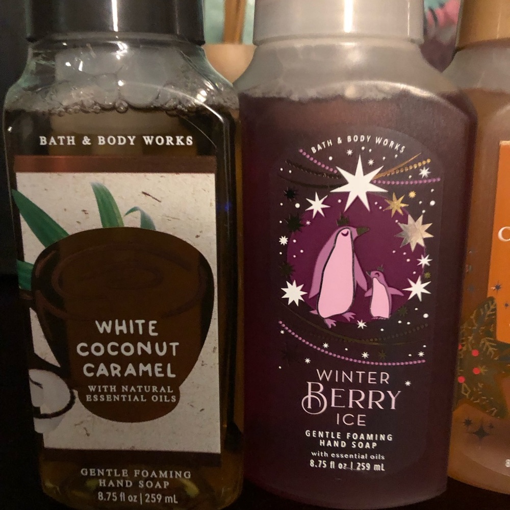 NWT Bath & Body Works 5 Pc Hand Soap - Picture 5 of 7